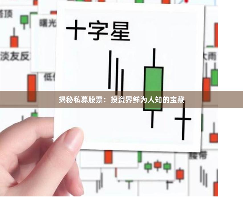 揭秘私募股票：投资界鲜为人知的宝藏